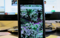 随着Xbox 360销售放缓 Windows Phone迫切需要成功