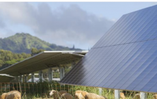 AES Distributed Energy计划在瓦胡岛开发2个太阳能加储能项目 