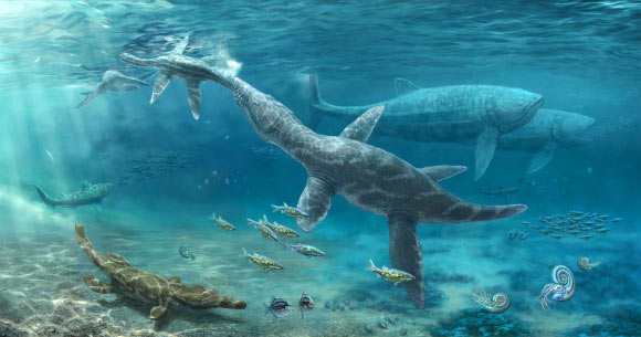 艺术家对侏罗纪海洋爬行动物的印象。 图片来源：Nikolay Zverkov。