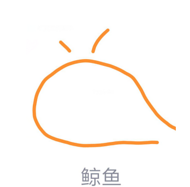 app问答:QQ画图红包鲸如何画鲸鱼画教程