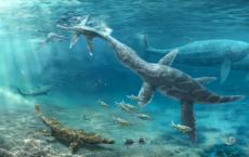 化石牙齿研究揭示了侏罗纪海洋爬行动物如何适应环境变化