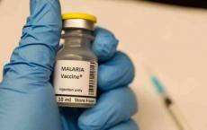 解决疟疾疫苗目标的奥秘