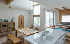Alts Design Office在日本的Outsu House中使用拱形和曲线 