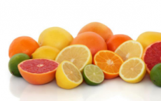 橙皮素对体内抗痫性发作的保护作用
