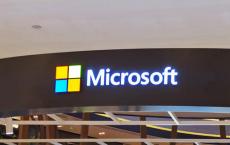 到底谁是微软的萨蒂亚·纳德拉?