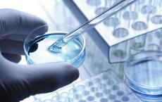 诺华将开发哈佛生物工程公司基于生物材料的癌症免疫疗法