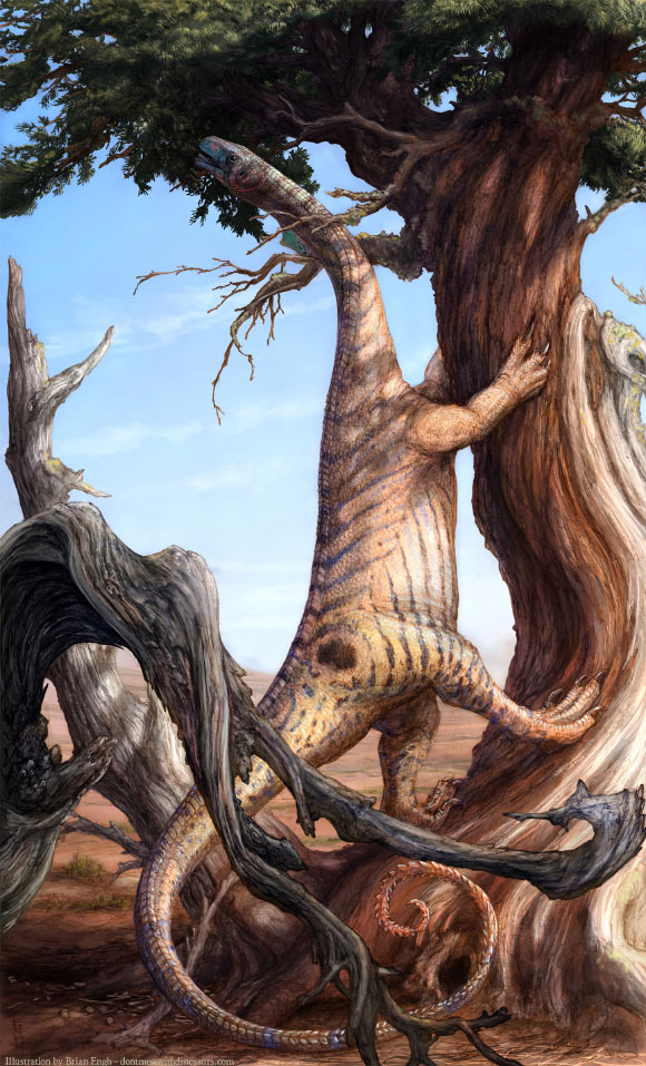 Sarahsaurus aurifontanalis的生命恢复。 图片来源：Brian Engh，www.dontmesswithdinosaurs.com。