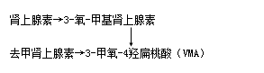 介绍下什么是肾上腺髓质激素