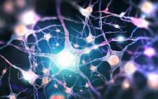 研究人员弄清了神经退行性疾病记忆丧失的原因