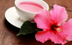 研究发现芙蓉花可以促进乳腺癌细胞的凋亡