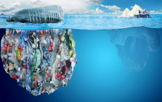 塑料污染正在杀死海洋中有助于我们呼吸的有益细菌