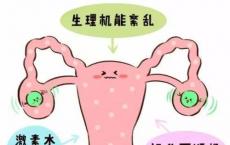 介绍下性激素的生理生化都是什么