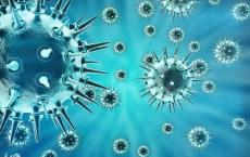 快速传播的突变有助于普通流感亚型逃避免疫反应