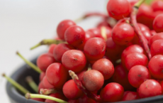 研究表明五味水果中的化合物可以保护肝脏
