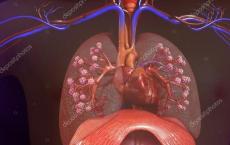 科学家现在可以恢复严重受损的人肺