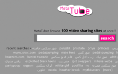 使用MetaTube搜索100个视频共享站点
