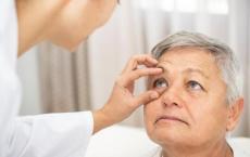 基因调节剂可能有助于剥脱性青光眼中的蛋白质堆积