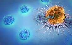 免疫疗法对某些前列腺癌男性有益