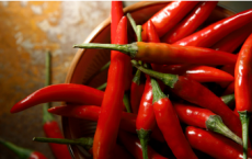 辣椒中的天然化合物可预防转移吗
