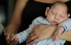 寨卡病毒可能对子宫内近七分之一的婴儿造成伤害