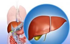研究人员提出了一种新方法来限制严重新型肺炎患者的器官