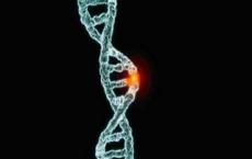 科学家开发出可视化基因突变的方法