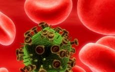 组合抗体可长期抑制HIV