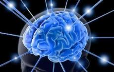 多巴胺疗法可改善阿尔茨海默氏症的认知功能