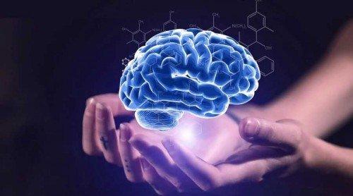 识别面部的能力是一种复杂的神经认知技能 具有重要的社