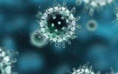 UT西南科学家发现新冠状病毒的潜在漏洞