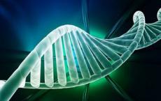 研究人员揭示了与自闭症和精神分裂症相关的分子机制