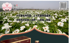 中国牡丹产业独角兽企业诞生牡仙品牌