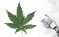 基于大麻的药物与其他抗痉挛药物相结合