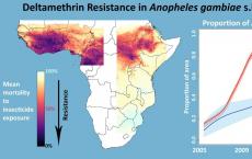 追踪蚊子对杀虫剂的抗性在整个非洲的分布