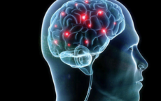 化学生物学家发现罕见的脑部疾病的原因