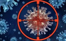 HIV疫苗可保护非人灵长类动物免受感染