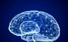 用低强度电给大脑挠痒痒可改善言语记忆