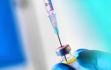 新的冠状病毒见解标志着迈向疫苗的重要一步