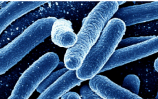 新开发的化合物可以帮助抗药性超级细菌吗