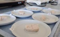 哥廷根大学研究小组调查昆虫和微藻饲料对肉品质的影响