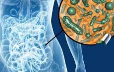 肠道细菌可能会改变蠕虫的行为 影响饮食习惯