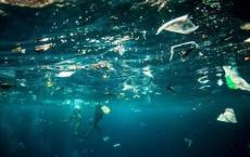 如何跟踪塑料污染的来源