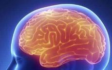 研究人员发现罕见形式脑炎的新疗法