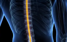 电植入可减轻人脊髓损伤的隐形症状