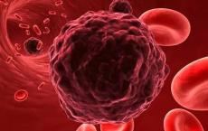 肿瘤劫持细胞死亡途径生存