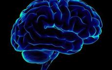 抗精神病药与大脑结构的不良变化有关