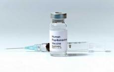 暴露病毒的藏身之处揭示了新的潜在疫苗