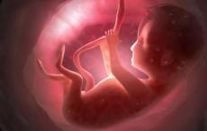 研究发现有4至90％的人类胚胎具有镶嵌染色体计数