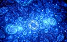 单细胞的原生生物以令人惊讶的复杂方式应对威胁