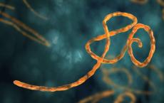 杜邦营养与生物科学公司与微生物组专家MRM Health合作